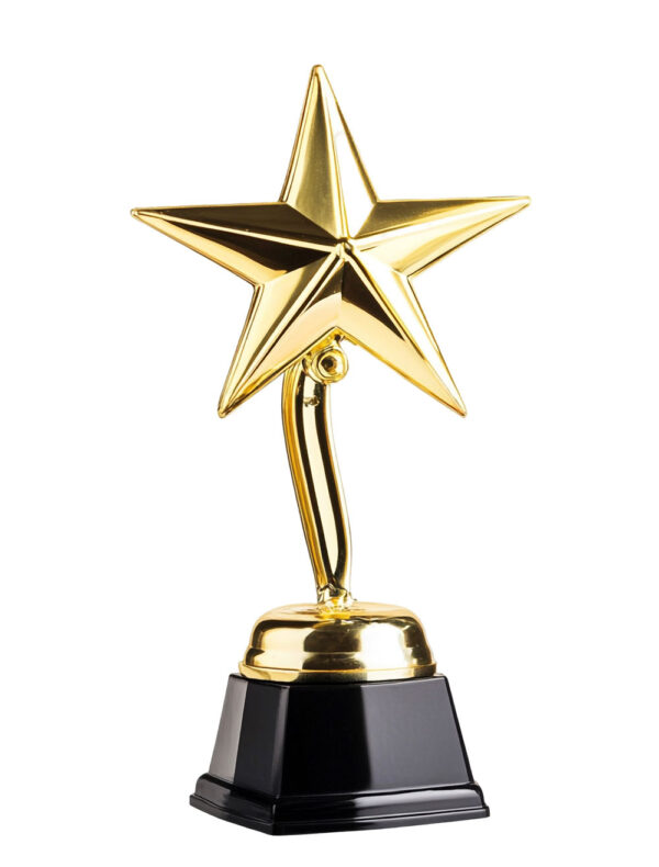 award1-600×790